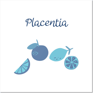 City Of Placentia Posters and Art